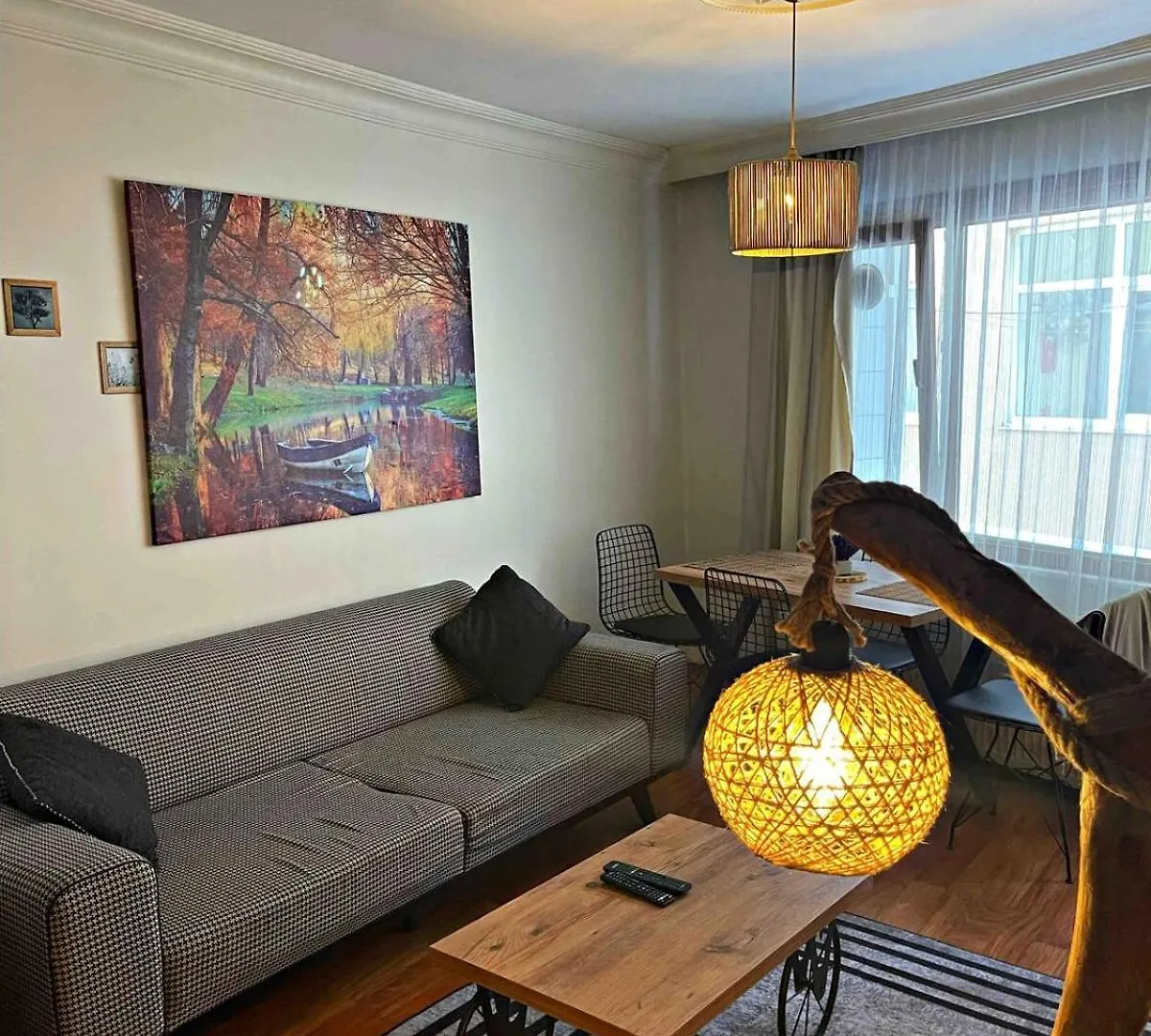 Cozy Home In A Good Location Istanbul 0*,